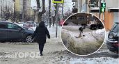 "Нашла своего героя": мальчик помог ярославне почистить дорогу