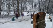 Сразу два: в Ярославле дятлы атаковали дерево в Брагино