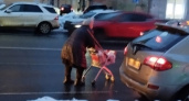 В Ярославле из-за гололеда бабушки выходят на оживленную дорогу с тележками