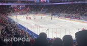 "Летал с ряда на ряд": ярославского болельщика избили во время хоккейного матча