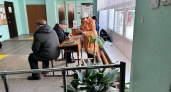 В Ярославской области явка на выборы президента превысила 48% 