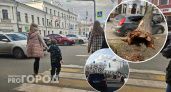 В Ярославле из-за непогоды падают деревья и не выдерживают светофоры