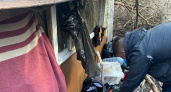 "Спали с посторонним мужчиной": пропавшие в Ярославле девочки 10 и 12 лет жили в шалаше под Тулой