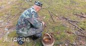 В Ярославле найден уникальный чудо-гриб, способный лечить больных