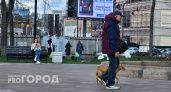 "Вот и потренировались": ярославна пожаловалась на недоступность площадок для собак