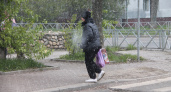 Министерство региональной безопасности предупредило о заморозках в Ярославле