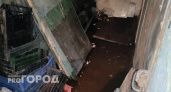 "Ужасный запах в квартирах": у ярославцев затопило подвал