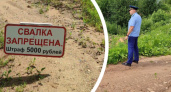 В Ярославской области заброшенный карьер превратился в гигантскую свалку
