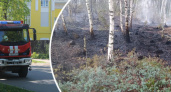 В Ярославской области загорелся торфяник 