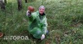 Ярославцам назвали место грибного изобилия