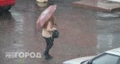 Назвали дни проливных дождей и гроз в Ярославле 