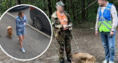 Ярославцев начали штрафовать за выгул собак в Тверицком бору и во дворах 