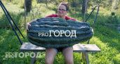 Ярославна с гигантскими тыквами пошла на рекорд