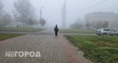 МЧС сообщило о первых заморозках в Ярославле