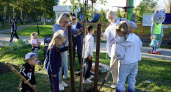 В парке «Юбилейный» в Ярославле высадили новые деревья