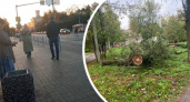 Спиленные на Пятерке деревья не будут убирать еще месяц