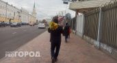 Синоптики обещают в Ярославле метель с гололедицей и падением деревьев: "Приходит мерзкая осенняя погода"