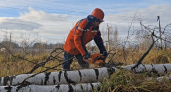 В Ярославской области обнаружено более 120 обрывов электросетей