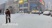 Ярославцам обещают теплый декабрь и сугробы к Новому году