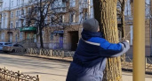 Гирлянды уничтожили липы на проспекте Ленина