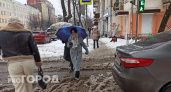 В Ярославле окончательно растает снег и пойдут ледяные дожди