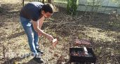 Рецептом самого сочного шашлыка поделились ярославцы
