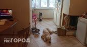 Назвали даты, когда в Ярославле отключат отопление