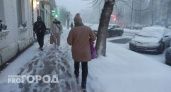 В Ярославле выпали рекордные 22 сантиметра снега