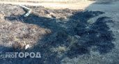 В Ярославской области количество палов сухой травы выросло в шесть раз