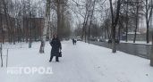 Морозы в минус два градуса обрушатся на Ярославль в День Победы
