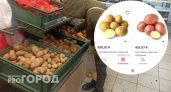 Из-за взлетевших цен ярославцы начали массово сажать картошку