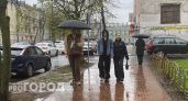 Дожди и грозы собьют жару в Ярославле