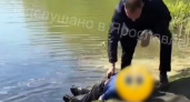 В парке Нефтяник жители Ярославля спасли тонувшего мужчину