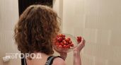 Клубника в Ярославле стоит по 700 рублей: откуда ее привозят