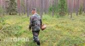Жителям Ярославля запретили собирать грибы и ягоды в лесу