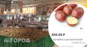 Цены на картошку в Ярославле бьют рекорды: когда она подешевеет