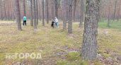 В Ярославле сняли ограничение на походы в лес: топ-5 грибных мест области