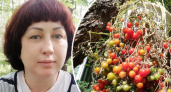  Уже на столе: дачница из Ярославля на балконе вырастила помидоры в июне 
