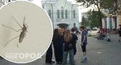  Нашествие комаров надвигается на Ярославль