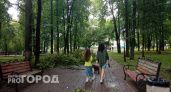 Ураган с градом и грозой резко обрушится на Ярославль