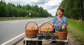 Туриста из Германии удивила торговля грибами и ягодами вдоль российских дорог