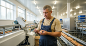 Работники птицефабрик никогда не покупают яйца категории СО в магазинах — вот почему стоит их обходить стороной навсегда