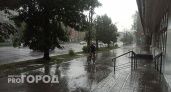 Ярославль накроет дождевая свинья