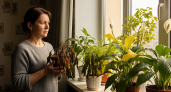 Срочно проверьте подоконники: эти 5 растений высасывают вашу жизненную энергию