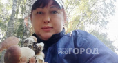 Ищите белые грибы по мухоморам: секреты поиска раскрыла грибник из Ярославля