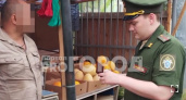 Ярославские рынки проверили военные следователи 
