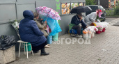   Жители Ярославля призвали власти не разгонять уличных продавцов 