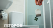 Уходя из дома бросаю чайный пакетик в унитаз: чудо-совет от опытной знакомой горничной
