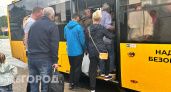 Ярославцы попросили сделать проезд в автобусах для школьников и студентов бесплатным