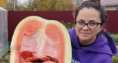 Садовод из Рыбинска развеяла миф о вкусе гигантских арбузов
